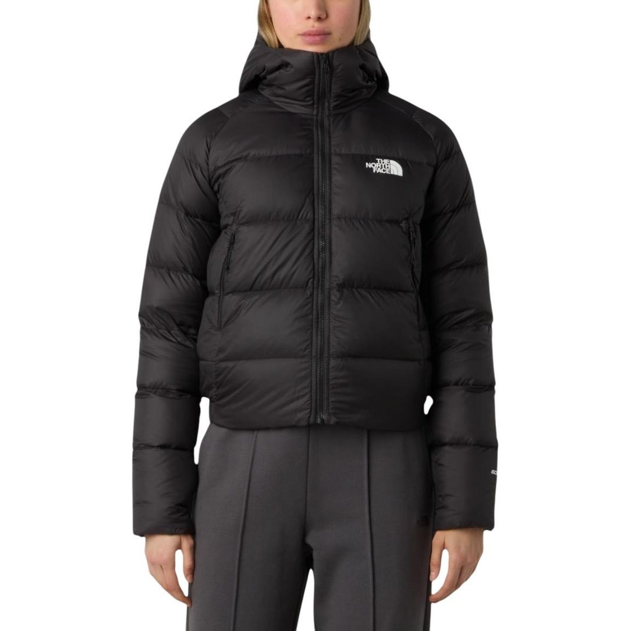 The North Face  Women Jacket